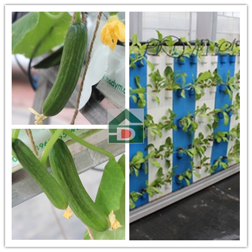 ʢ��Դ�r(n��ng)�I(y��)�r��