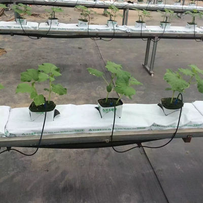 ʢ��Դ�r�I�r��