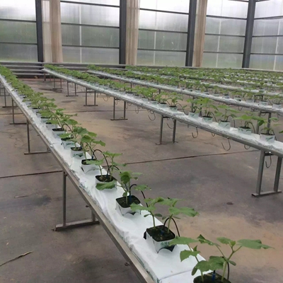 ʢ��Դ�r�I�r��