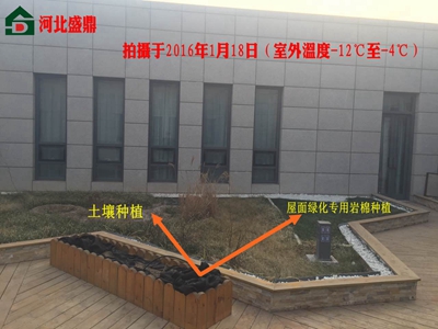 ����G���r��