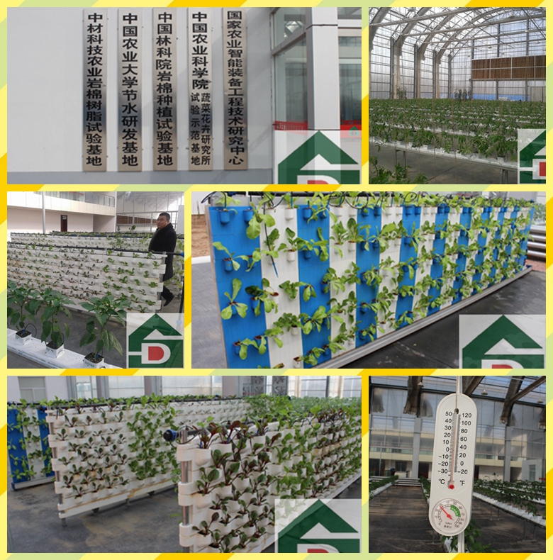 ʢ���r�Îr��