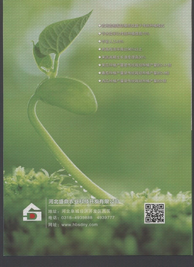 ʢ���r�Îr��