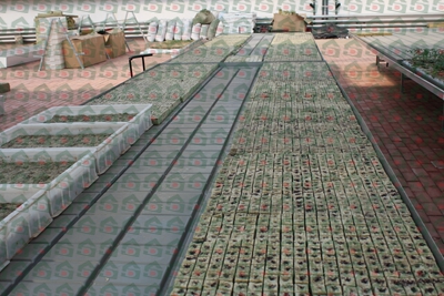 �r(n��ng)�Îr�����߷Nֲ