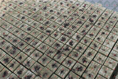 ʢ���r�Îr�ތ����،���