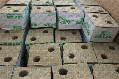 ʢ���r�Îr�ތ����،���