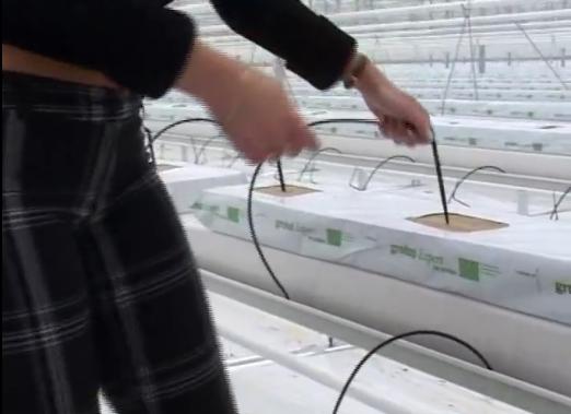 �r(n��ng)�Îr�ޑ�(y��ng)��