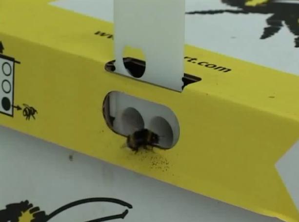 �r(n��ng)�Îr�ޑ�(y��ng)��