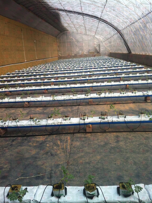 �r������N����