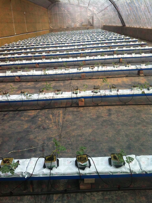 �r������N����