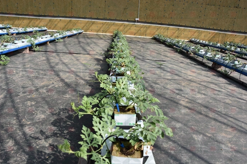 �r����������