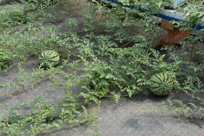 �r������