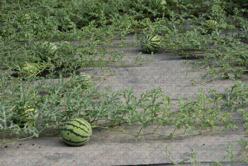 �r������