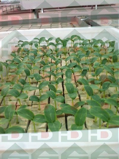 �r����������