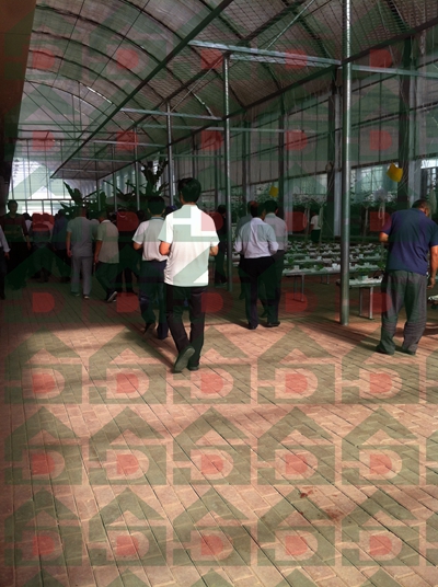 ʢ��Դ�r�Îr��